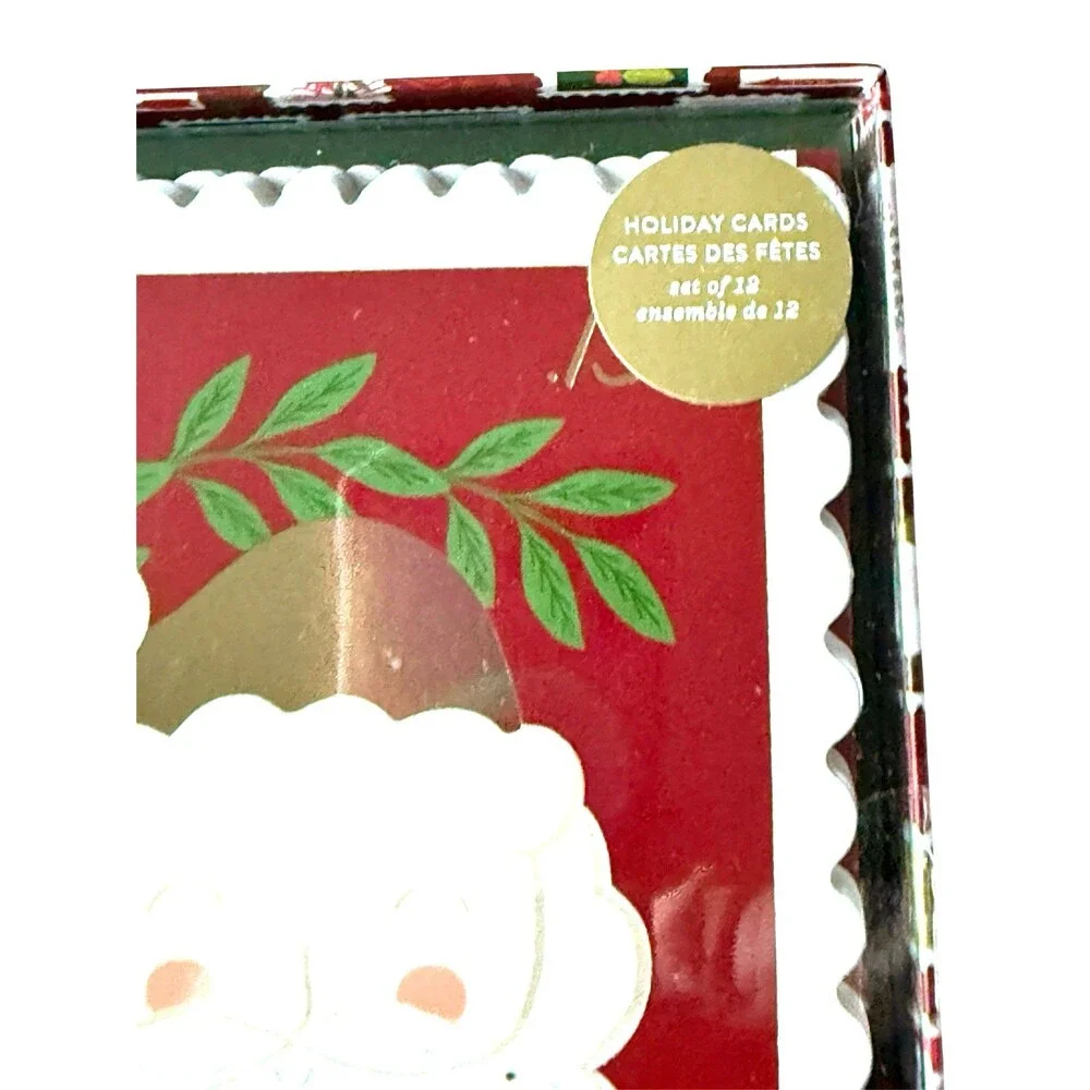 Fringe Studio Delivery By Christmas Box of 12 Cards & Envelopes Santa Claus